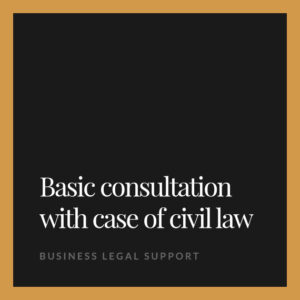 Basic consultation with case of civil law